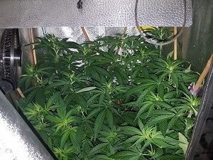 week7.jpg week7.jpg