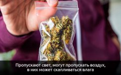 Ne-ispolzujte-plastikovye-pakety__5JtBQz4FmXlaUmNX.jpg