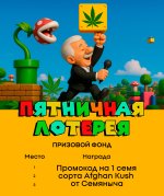 lottery-15-09.jpg