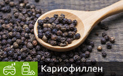 kariofillen__9Zp2bBTmsmT2l023.jpg