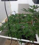 20260206_073514.jpg