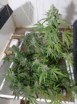 20260213_060030.jpg