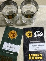 IMG_0798.jpeg