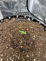 2DA0AC63-9C9C-4EF3-A605-A3C1FB886282.jpeg