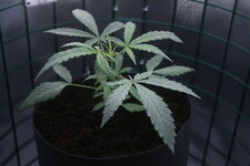 IMG_0851.JPG