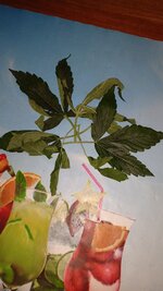 IMG_20260930_124250_398.jpg