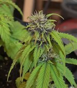 20260929_120112(1).jpg