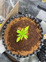 41AD2C86-1A74-4BE5-96EF-9F5147BF8A53.jpeg