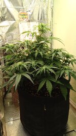 1000135568.jpg