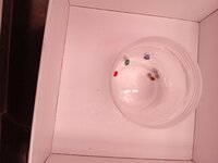 20261028_222020348.jpg