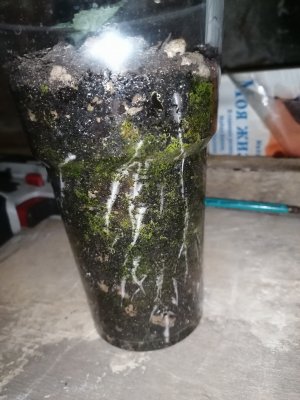 vod (2).jpg