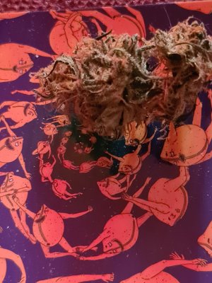 20220830_183459.jpg