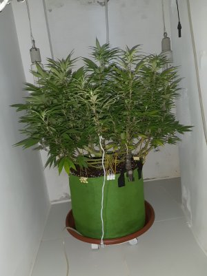 20221027_110337.jpg