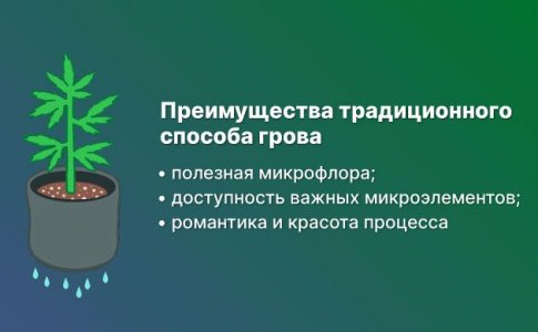 Разница между гидропоникой и почвой Разница между гидропоникой и почвой
