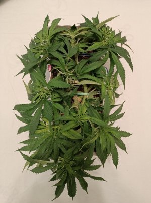 imgonline-com-ua-dexifx0QylIW4kLXM.jpg