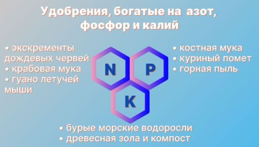 Особенности выращивание конопли в супергрунте