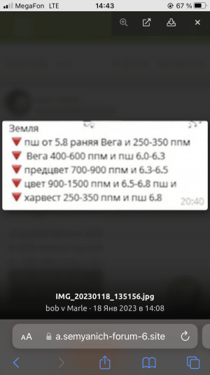 F9EF45D2-1B54-44EE-B9DC-7FB19B6858A7.png