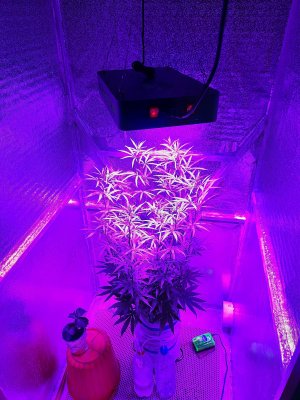 20230407_182725.jpg