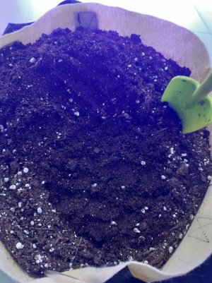 20230427_153719.jpg