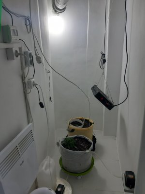 20230429_111254.jpg