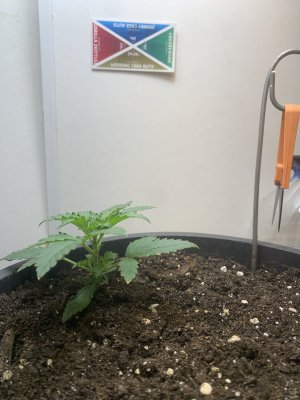 IMG_0896.jpeg