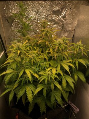 photo_2021-12-08_18-14-02.jpg