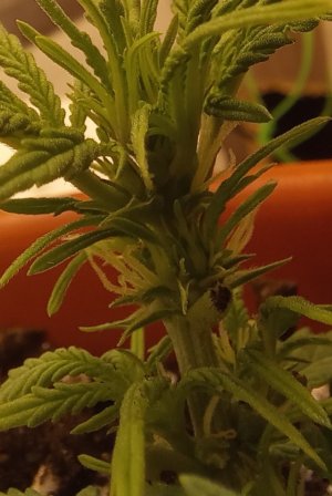 20230724_191127.jpg