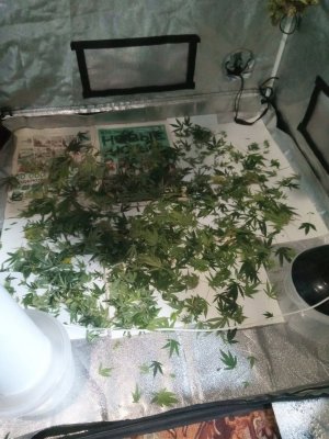 IMG_20100404_040428_9.jpg