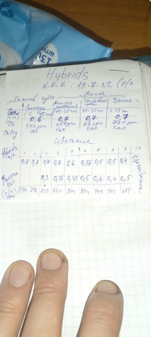 17121048945576309819299646790335.jpg