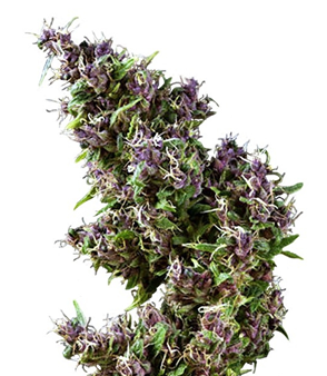 1723913006134.png