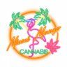 coco_mango